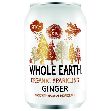 Bio Drink Ginger